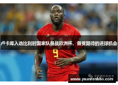 卢卡库入选比利时国家队备战欧洲杯，备受期待的进球机会