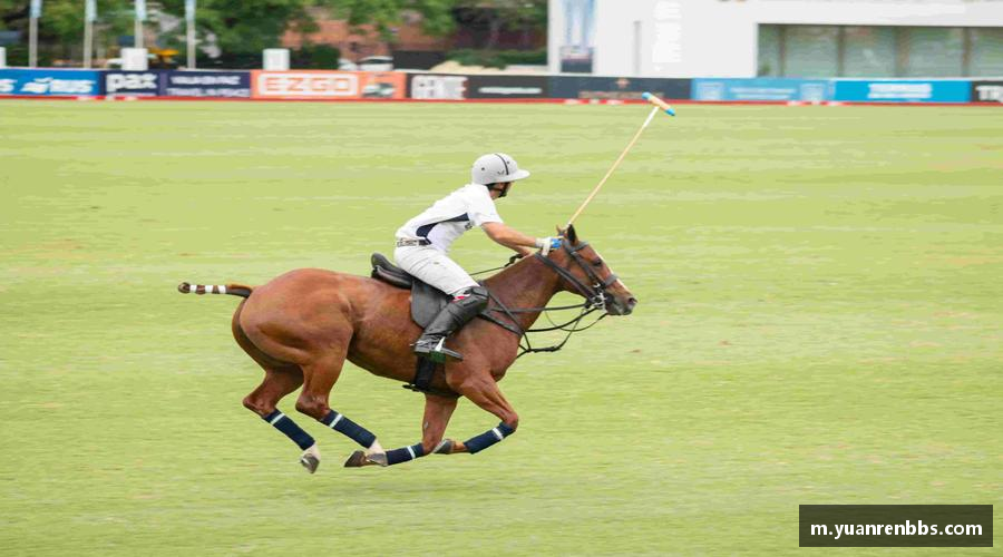 悟空体育平台汗水与荣耀的舞台，等你来战！⚽ 报名即享专属福利，点击开启征程！